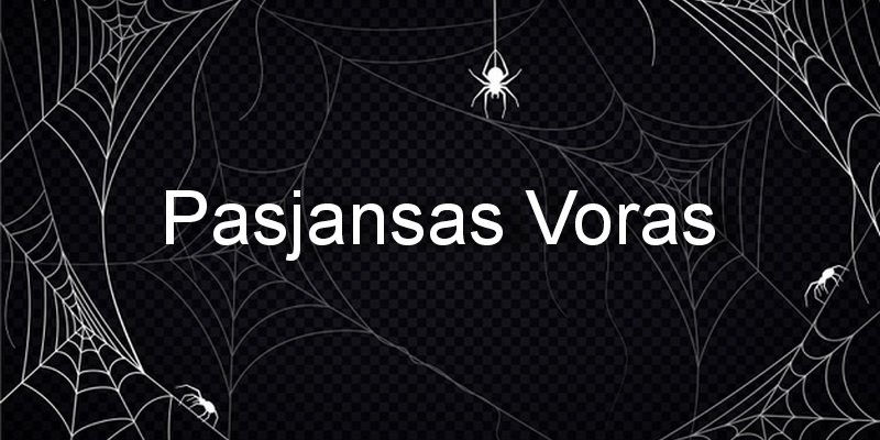 Korttipelejä yksi on peli Spider, jossa kortit jaetaan vain yksi